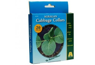 Agralan Cabbage Collars (x 20)